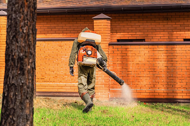 Bed Bug Clearance Verification and Documentation in Holbrook
